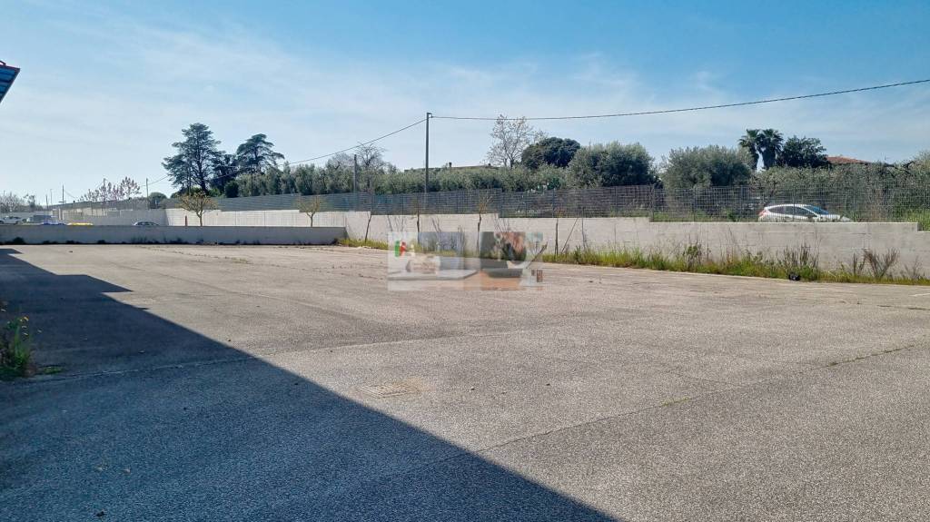 immagine annuncio 6 di 7