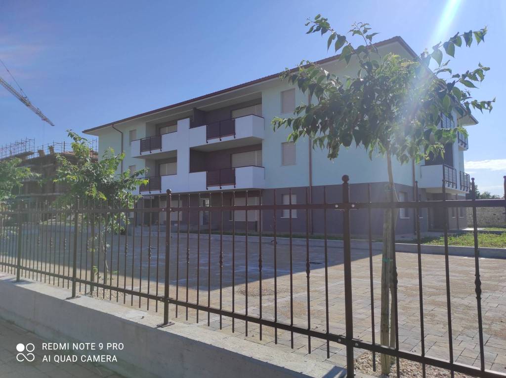 immagine annuncio 8 di 11