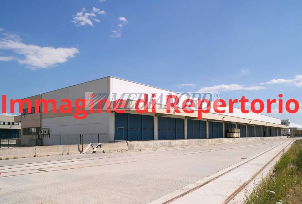 immagine annuncio 3 di 6