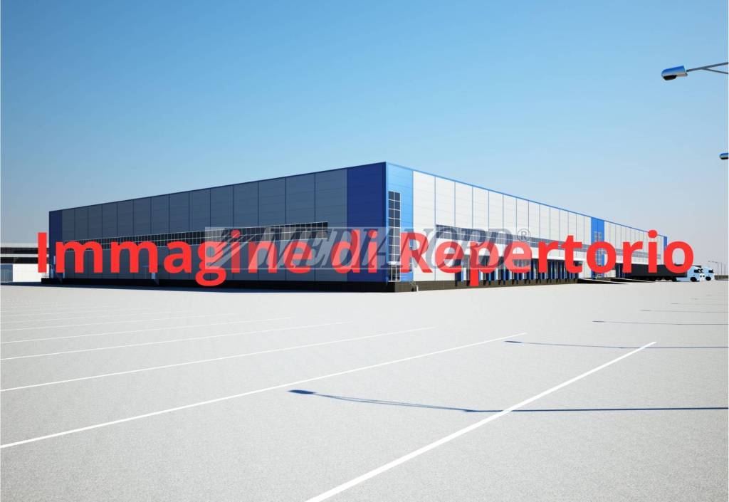 immagine annuncio 4 di 6