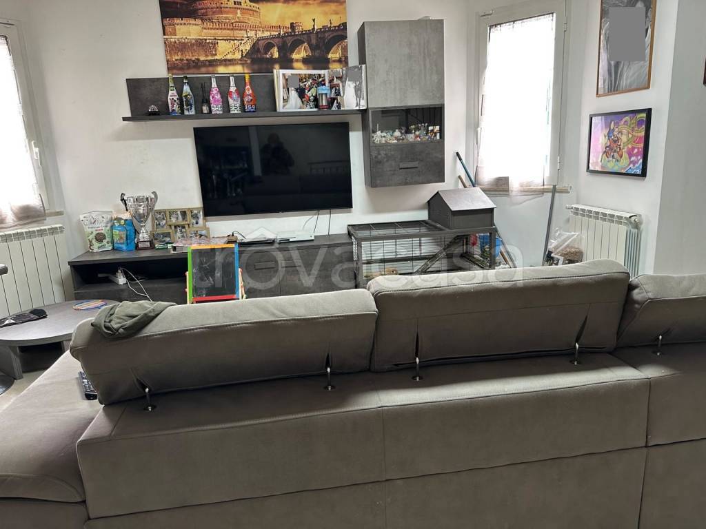 immagine annuncio 5 di 15