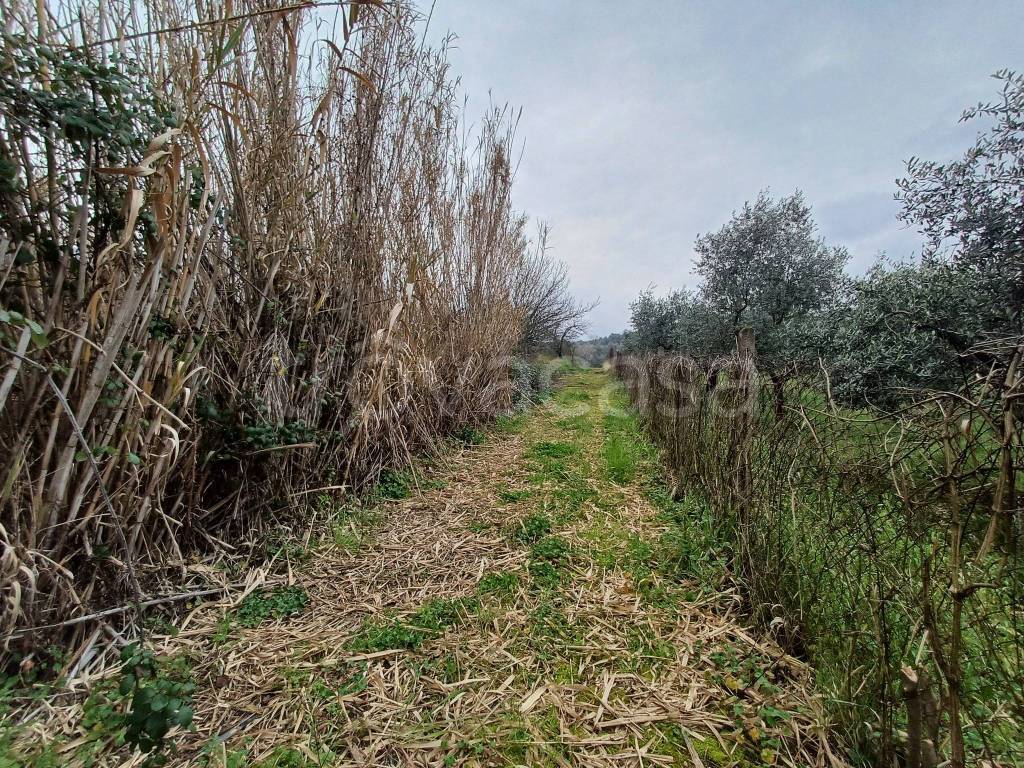immagine annuncio 10 di 11