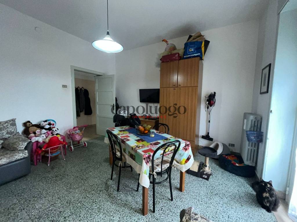 immagine annuncio 6 di 14
