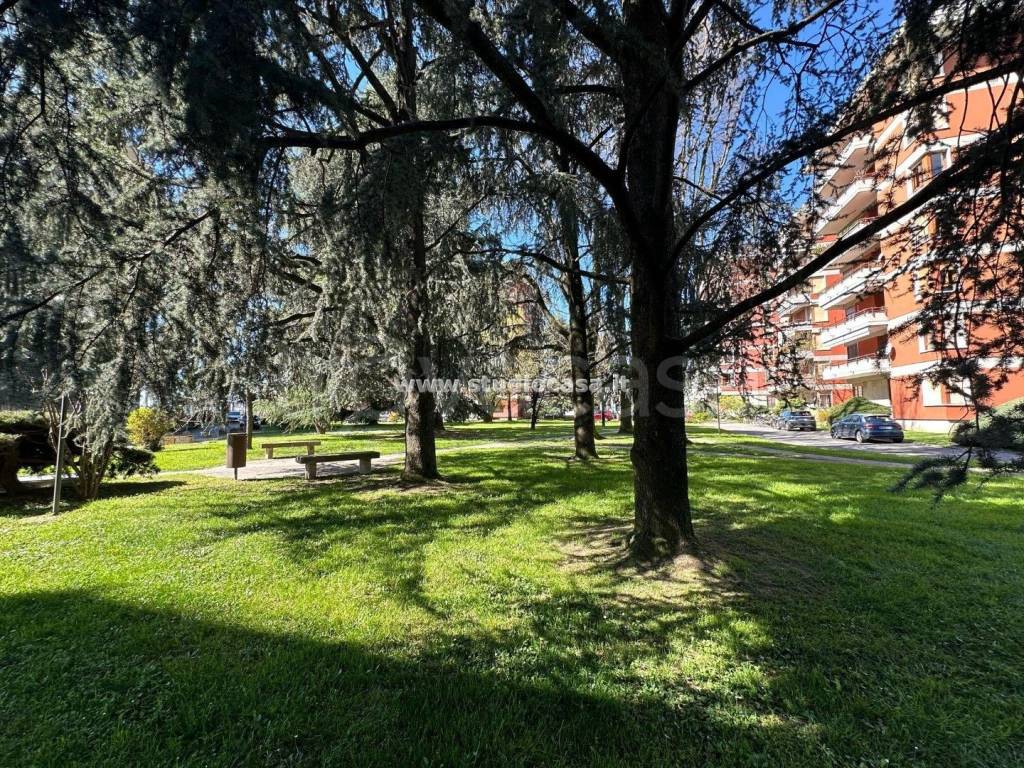 immagine annuncio 5 di 9