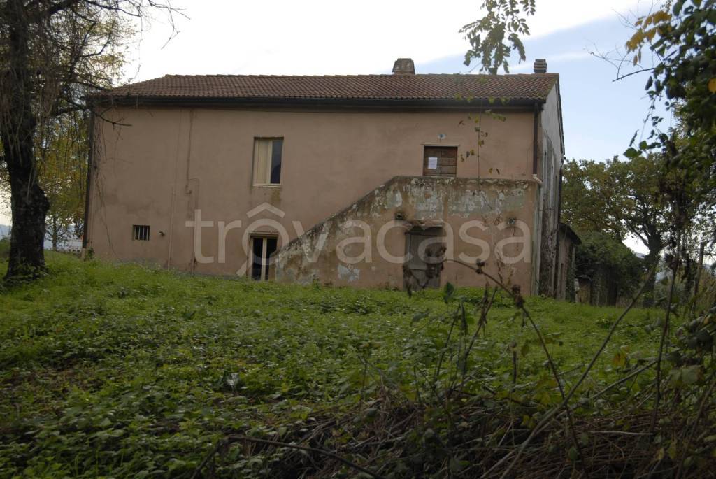 immagine annuncio 7 di 13