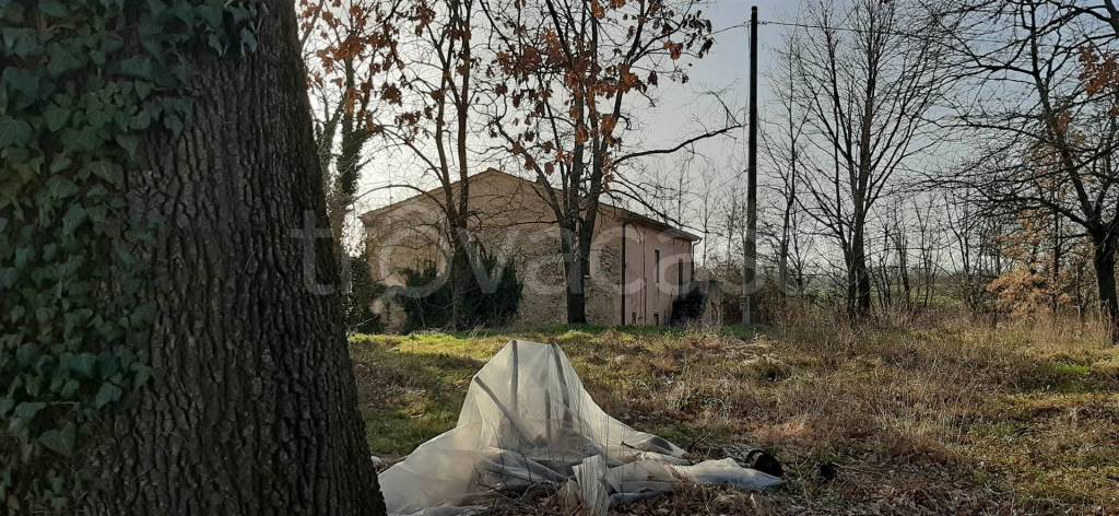 immagine annuncio 8 di 13