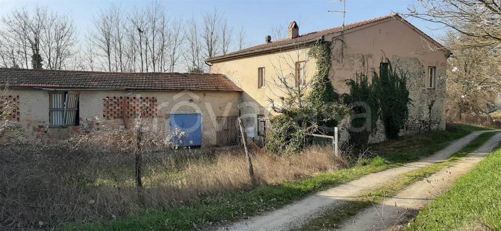 immagine annuncio 9 di 13