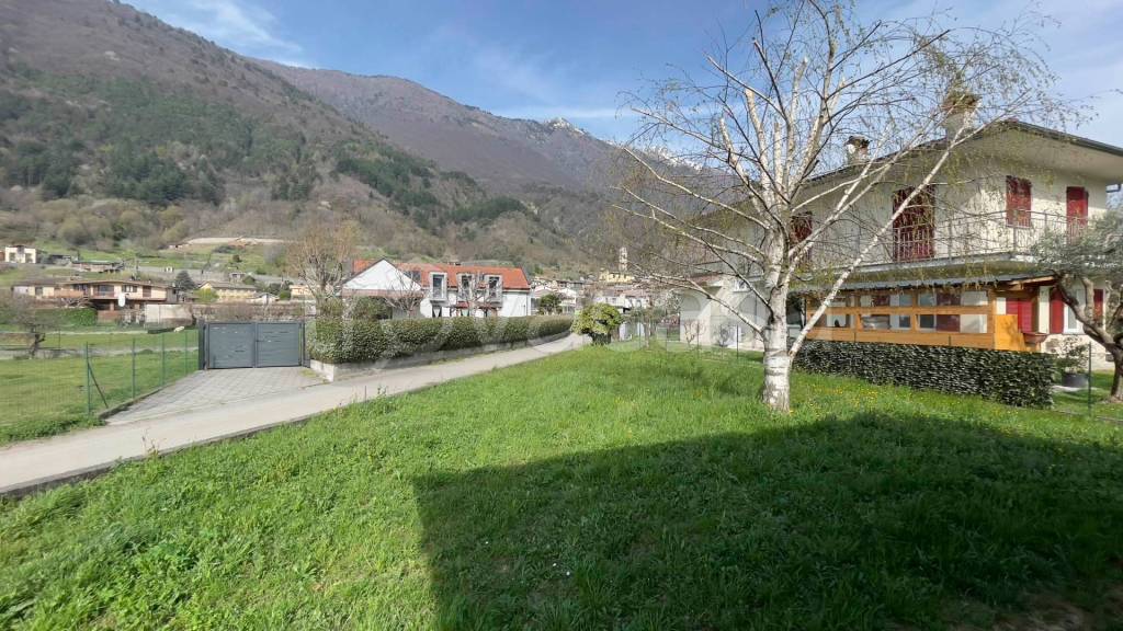 immagine annuncio 5 di 15