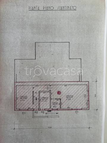 immagine annuncio 11 di 12