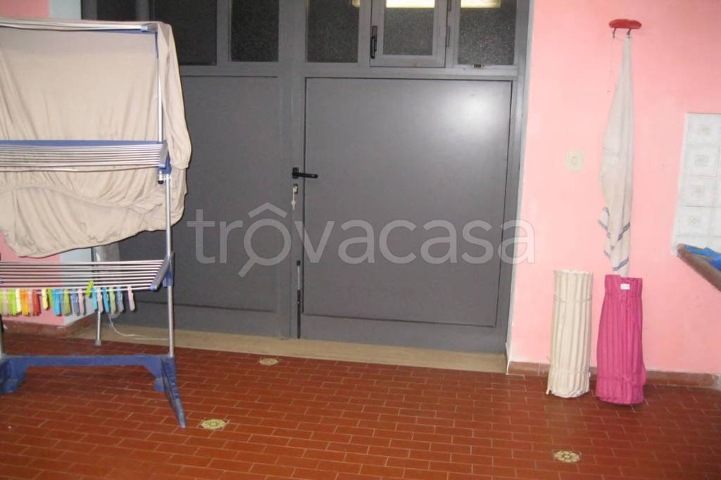 immagine annuncio 11 di 14