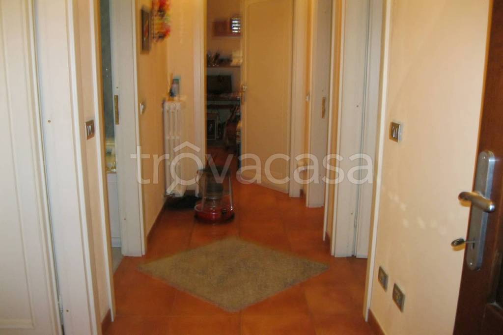 immagine annuncio 6 di 14