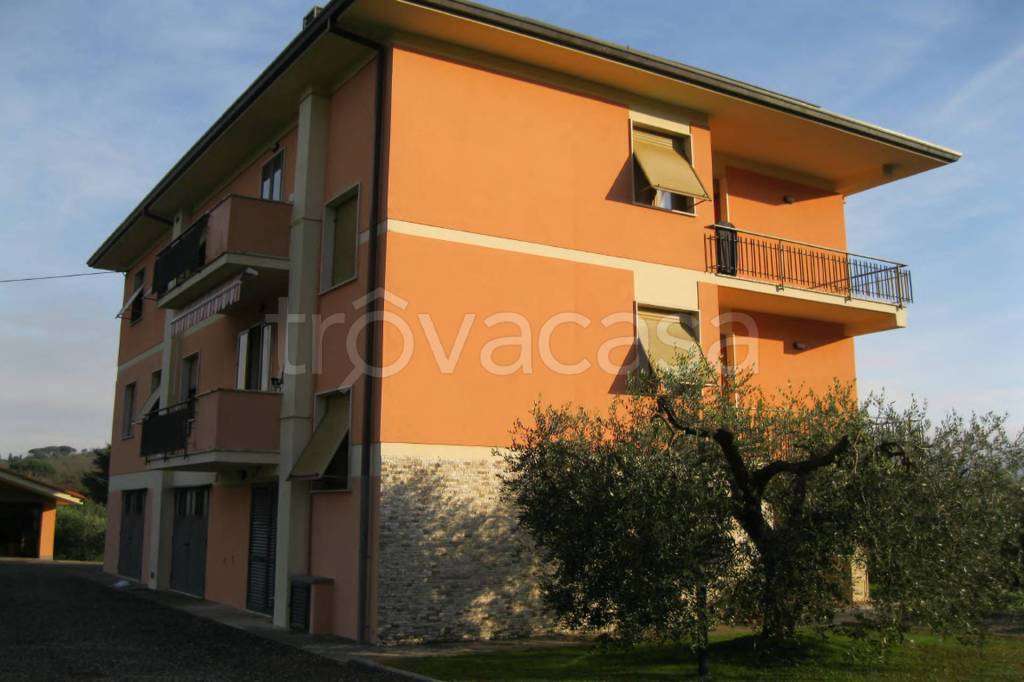 immagine annuncio 2 di 14
