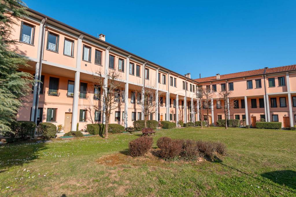 immagine annuncio 4 di 15