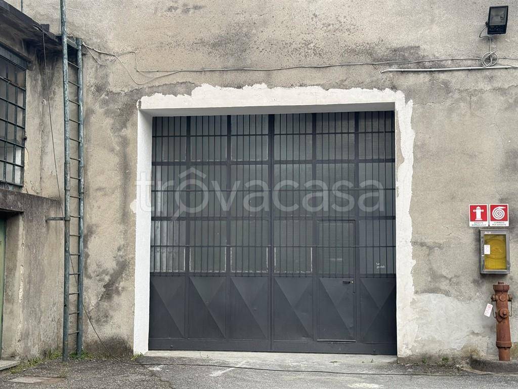immagine annuncio 4 di 9