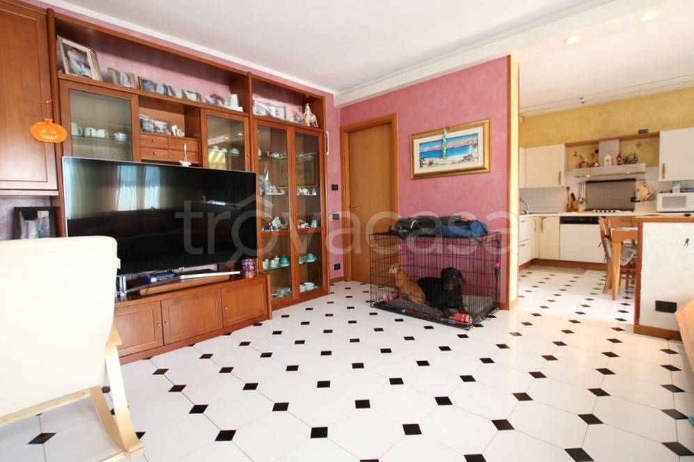 immagine annuncio 6 di 15