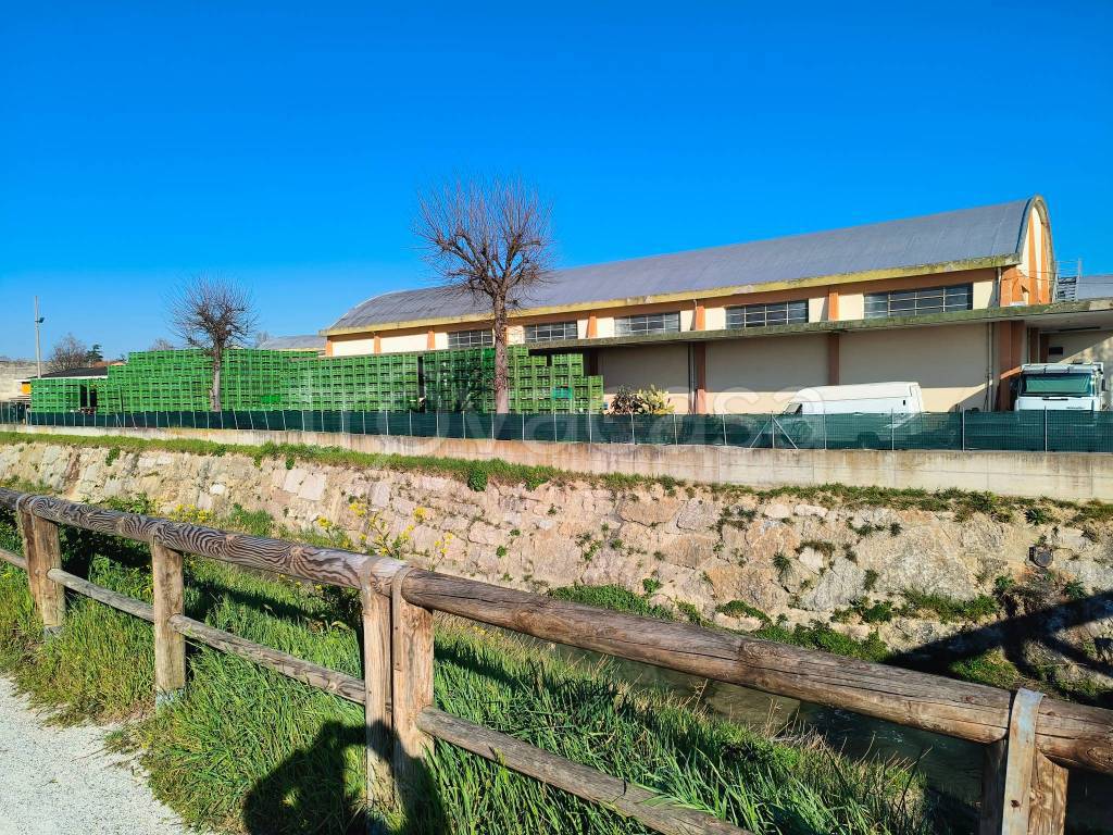 immagine annuncio 3 di 11
