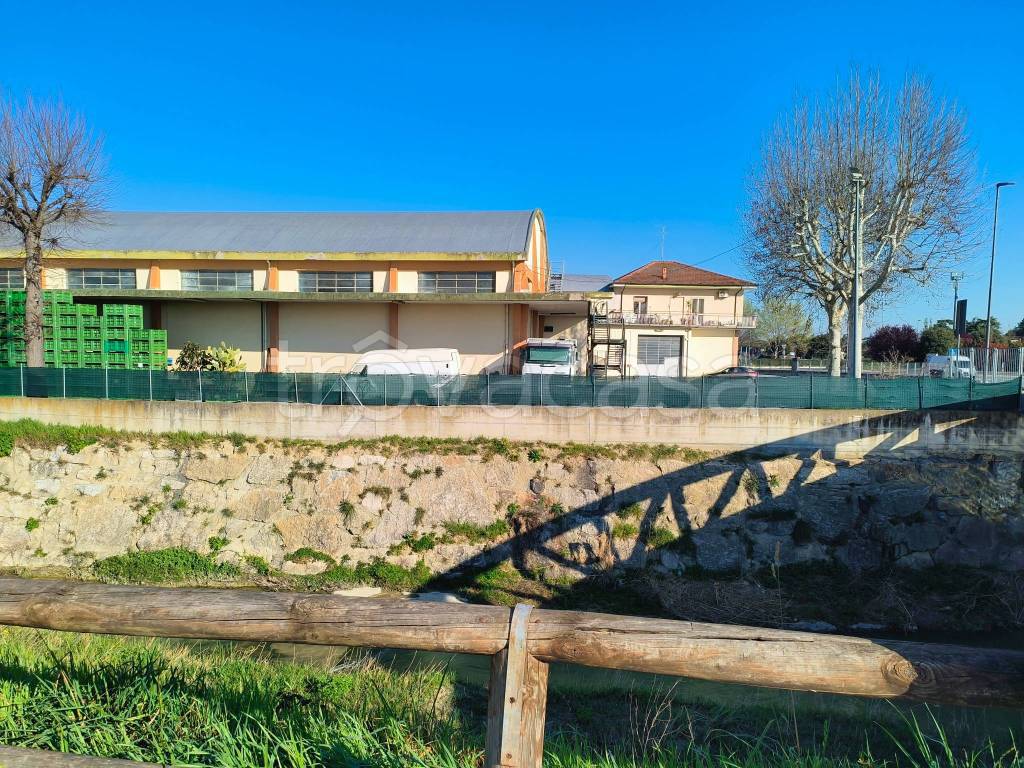 immagine annuncio 4 di 11