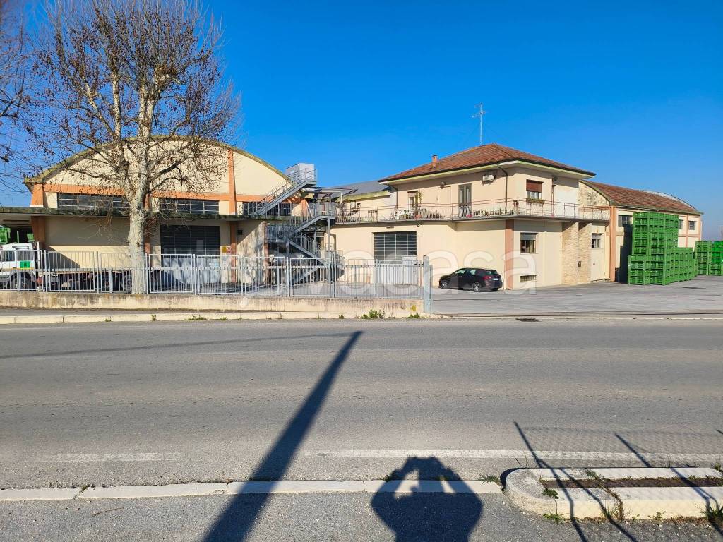 immagine annuncio 6 di 11