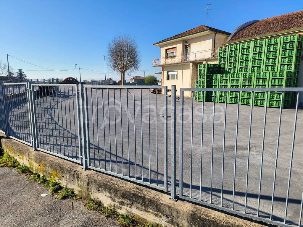 immagine annuncio 10 di 11