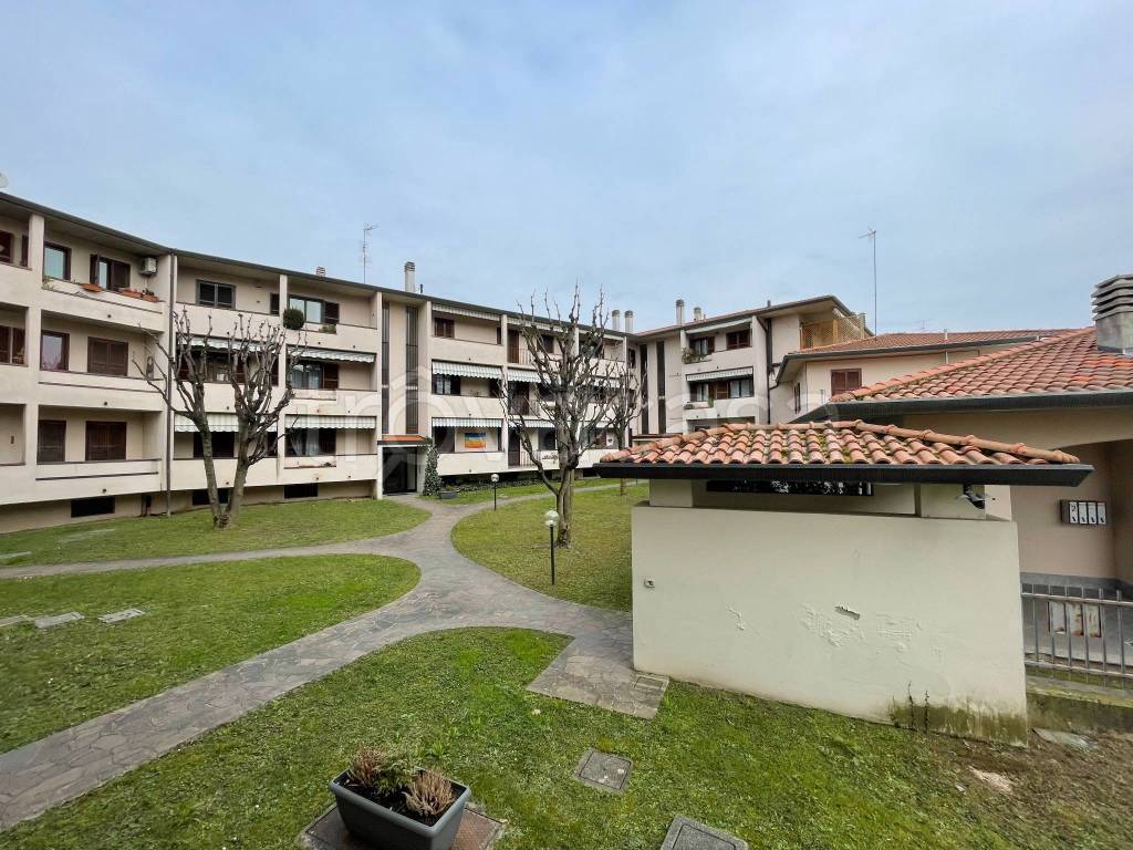 immagine annuncio 7 di 15