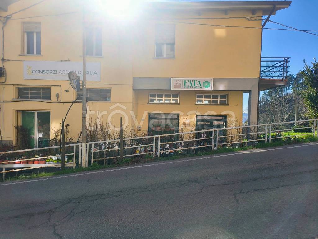 immagine annuncio 2 di 7