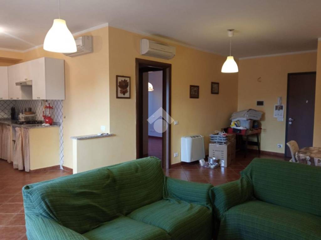 immagine annuncio 6 di 14