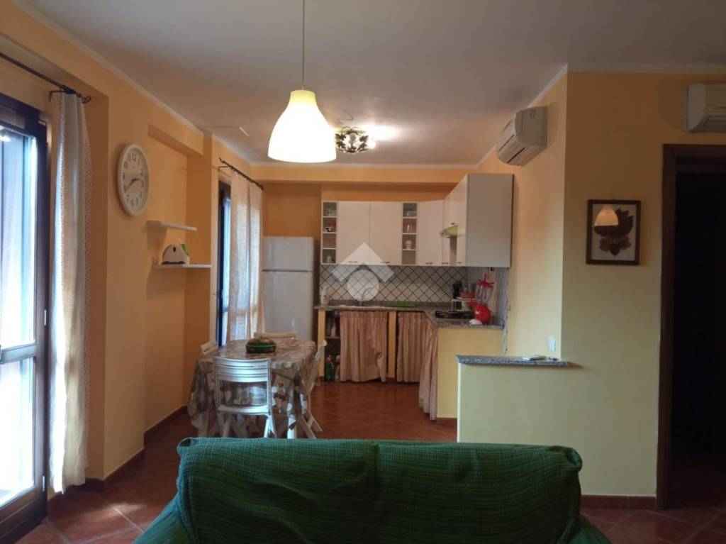 immagine annuncio 7 di 14
