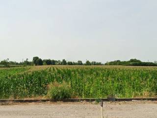 Terreno agricolo in vendita a montichiari contrada bellandi