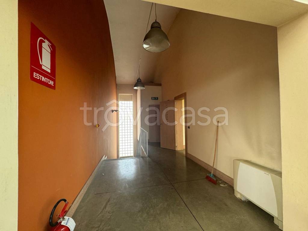 immagine annuncio 5 di 9