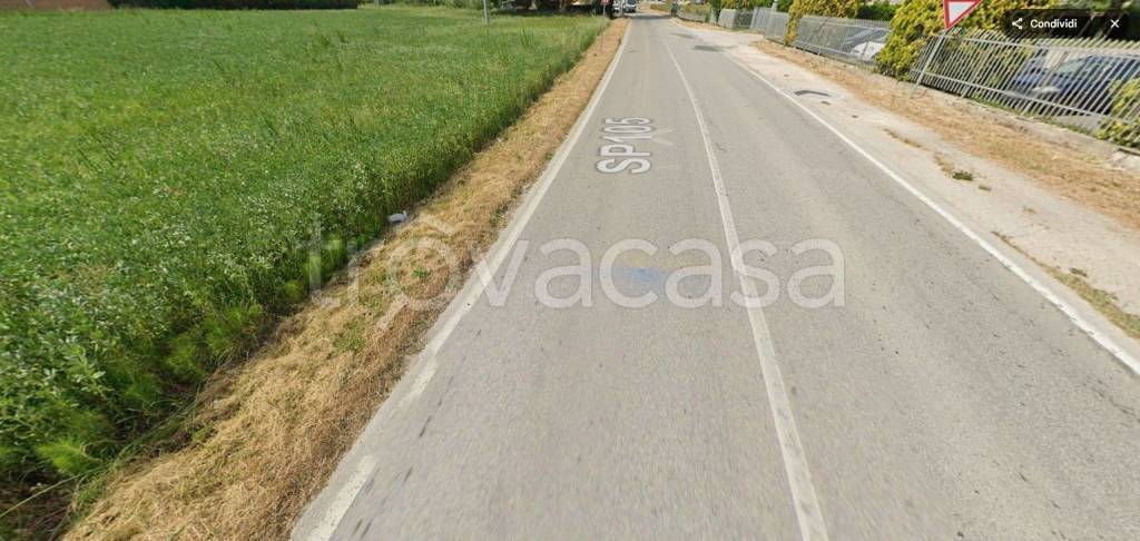 immagine annuncio 8 di 13