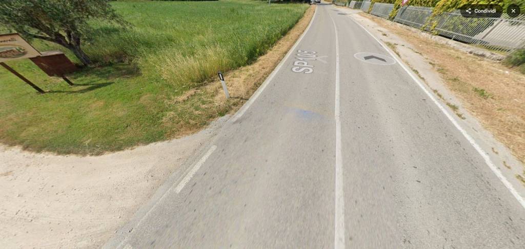 immagine annuncio 11 di 13