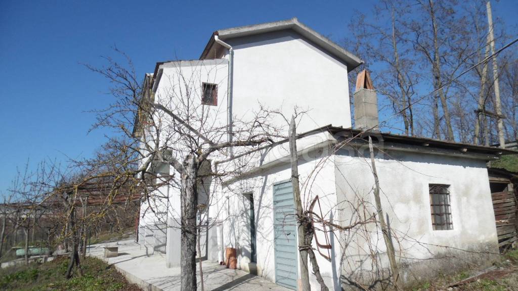 immagine annuncio 1 di 11