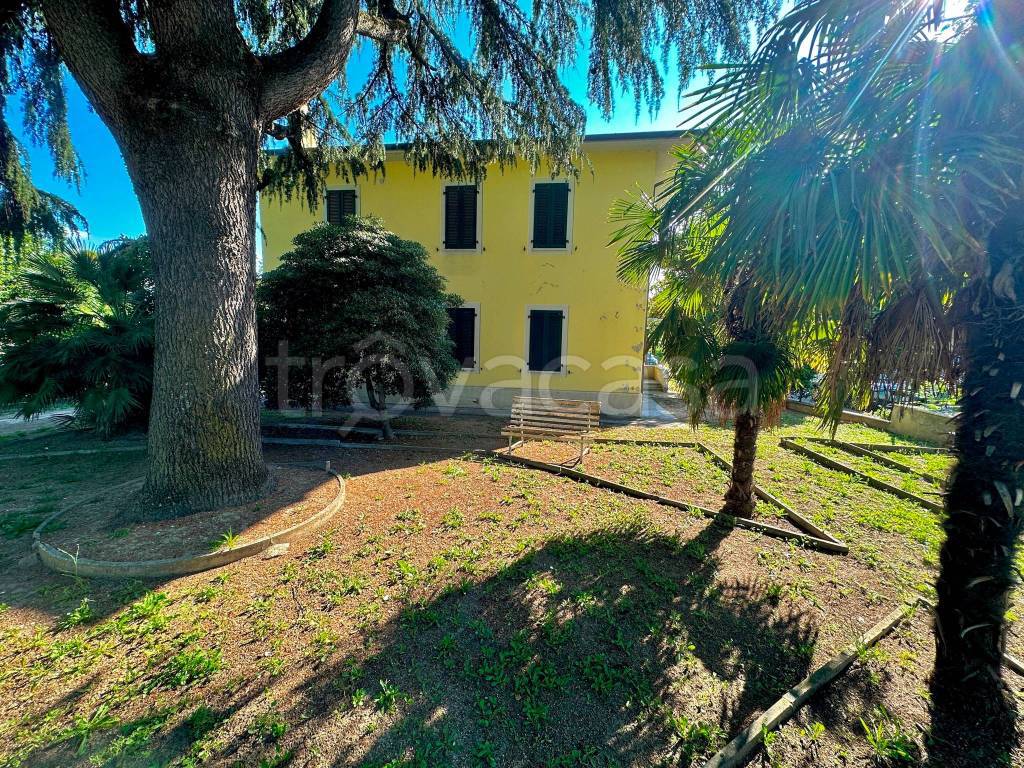 immagine annuncio 4 di 14