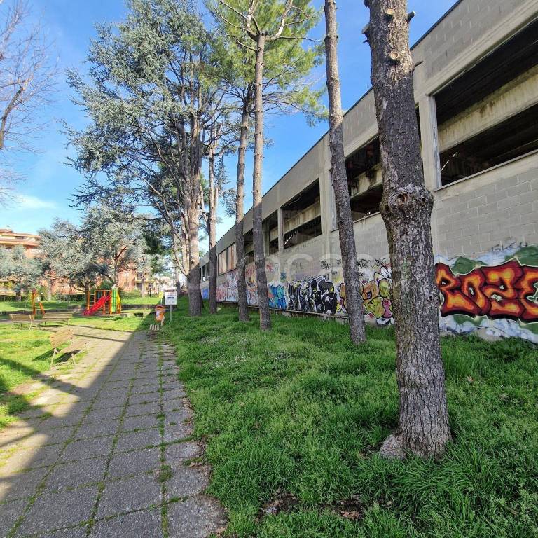 immagine annuncio 10 di 13