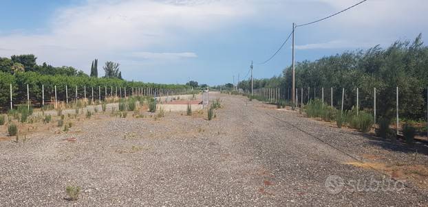 immagine annuncio 1 di 2