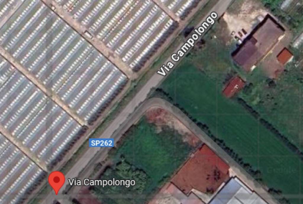 immagine annuncio 10 di 12