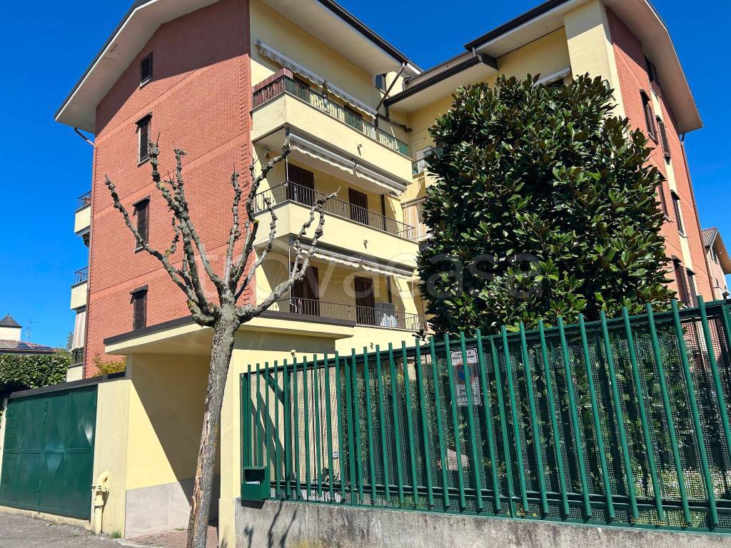 immagine annuncio 3 di 15