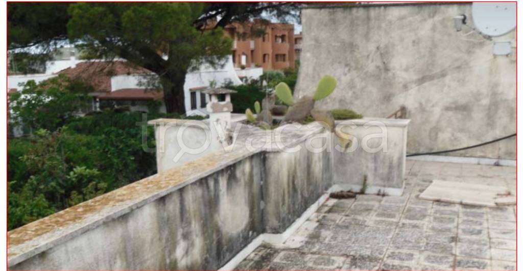 immagine annuncio 9 di 14