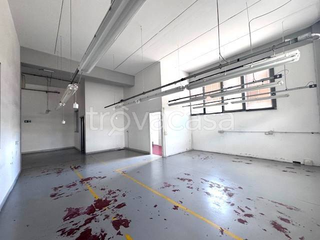 immagine annuncio 4 di 11