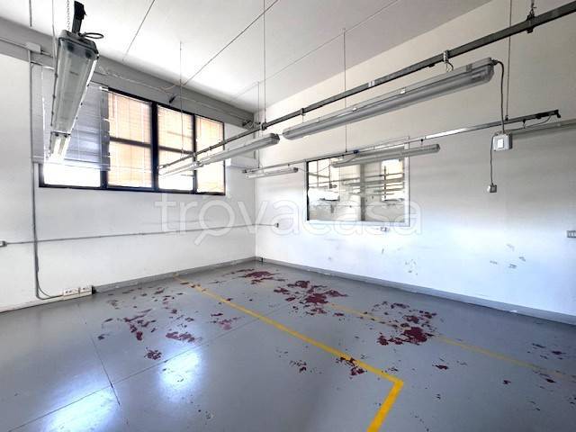 immagine annuncio 5 di 11