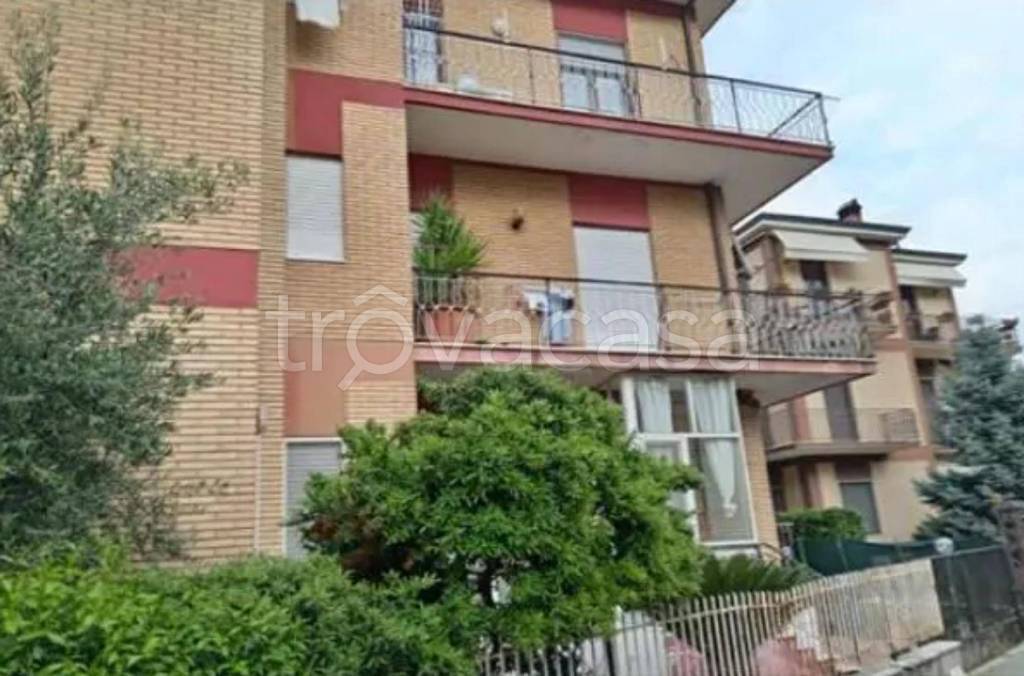 immagine annuncio 1 di 12