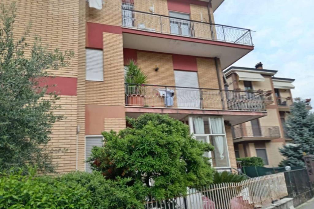 immagine annuncio 2 di 12