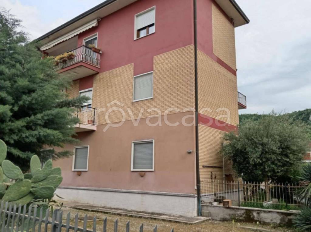 immagine annuncio 3 di 12