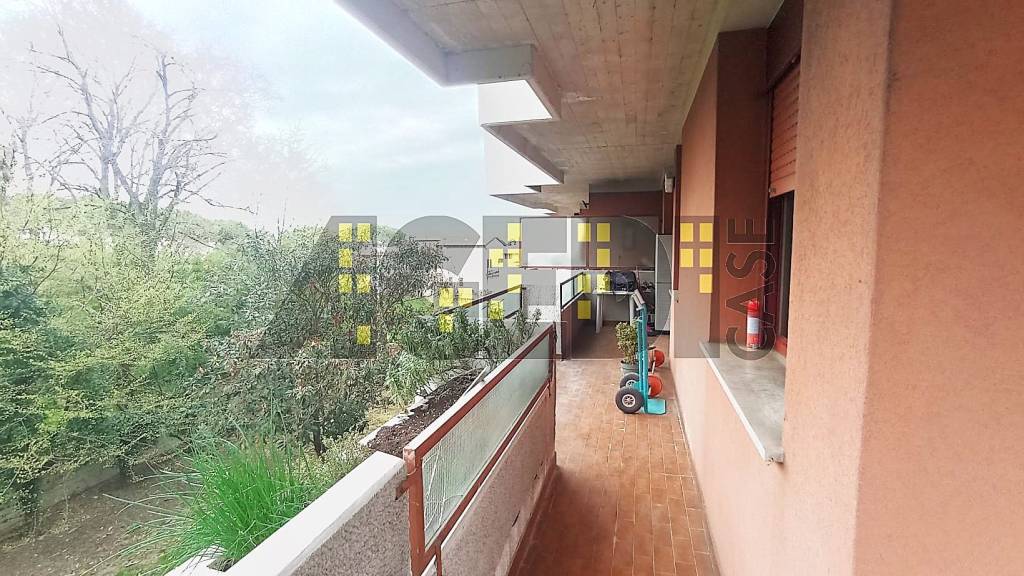 immagine annuncio 7 di 12