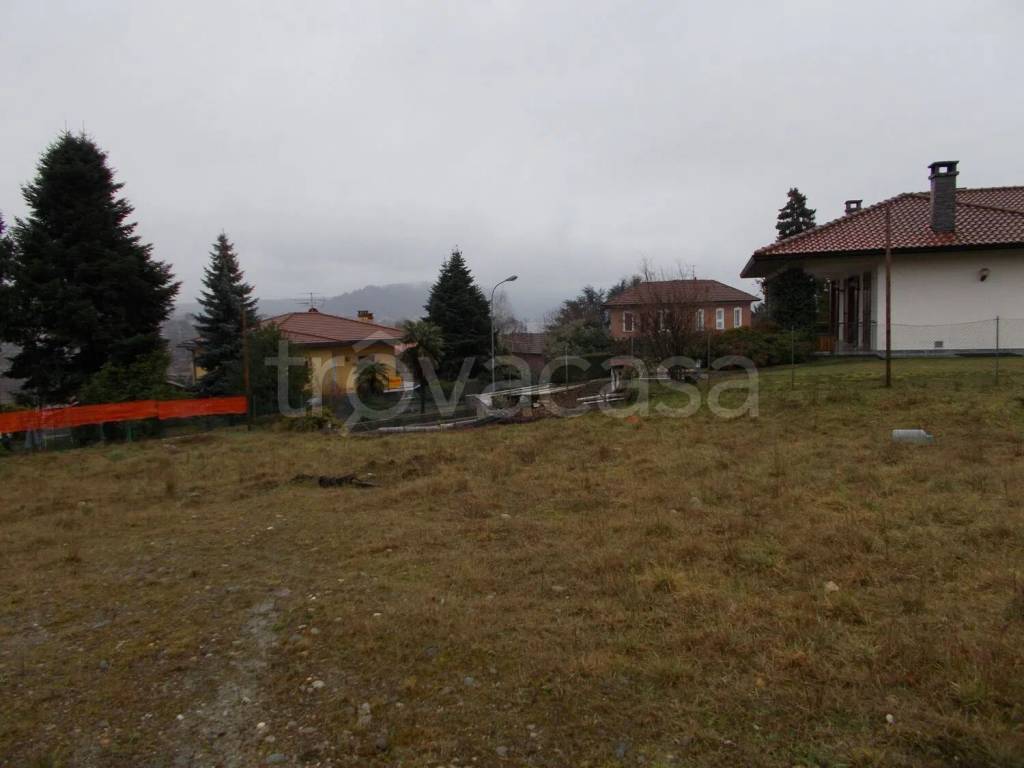 immagine annuncio 4 di 8