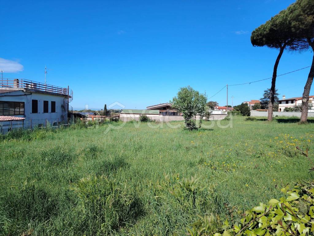 immagine annuncio 1 di 8