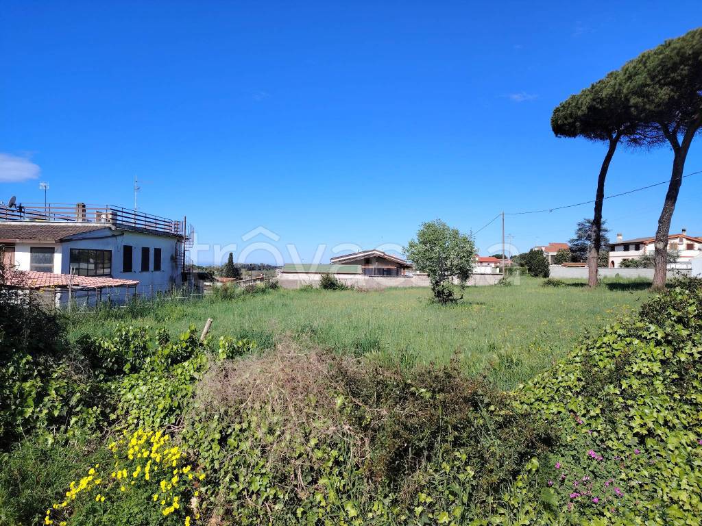 immagine annuncio 3 di 8
