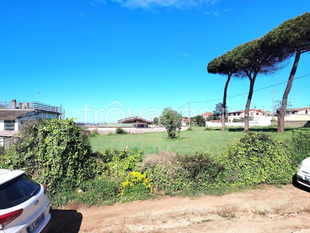 immagine annuncio 6 di 8