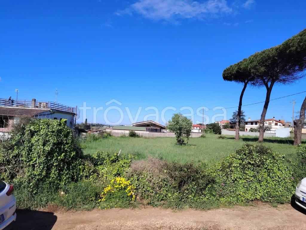 immagine annuncio 7 di 8