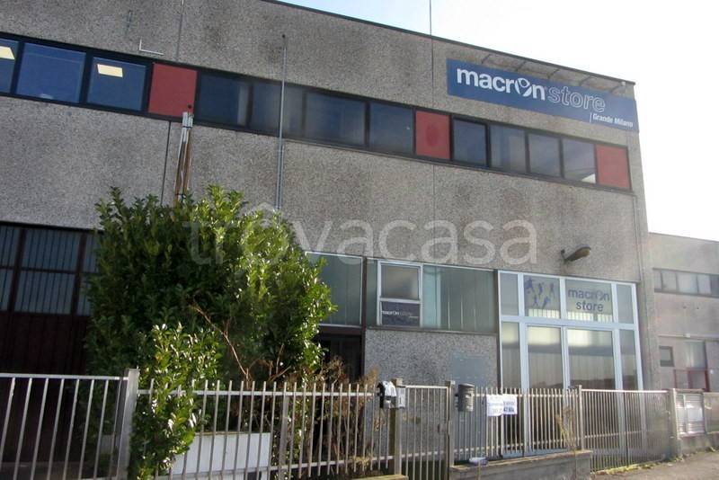 immagine annuncio 2 di 15